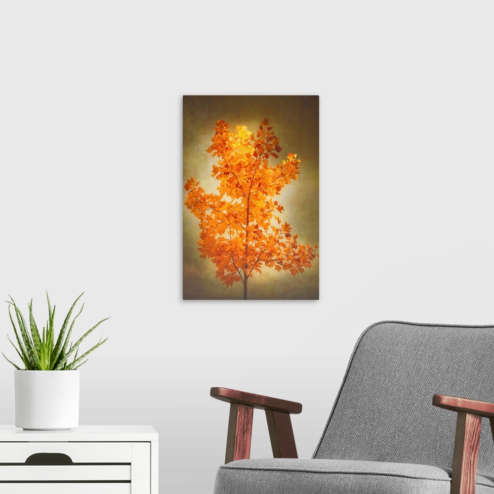 A modern room featuring A yellow tree in autumn with a photo texture