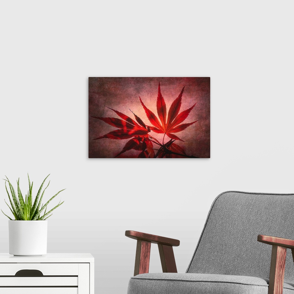 A modern room featuring Red maple leaves with photo texture added