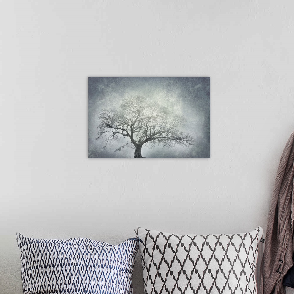 A bohemian room featuring Photograph of a single large leafless tree with a textured white and blue-grey background.