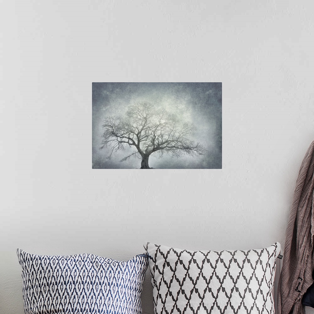 A bohemian room featuring Photograph of a single large leafless tree with a textured white and blue-grey background.