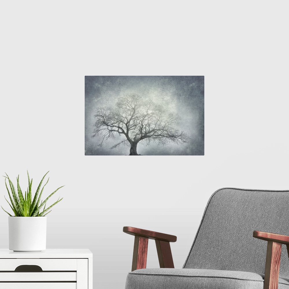 A modern room featuring Photograph of a single large leafless tree with a textured white and blue-grey background.