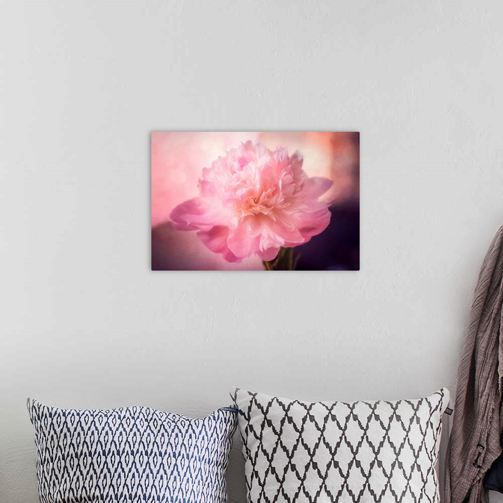 A bohemian room featuring Pink peony with photo texture