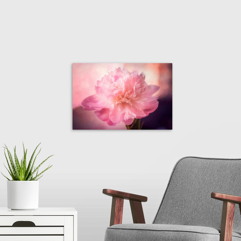 A modern room featuring Pink peony with photo texture