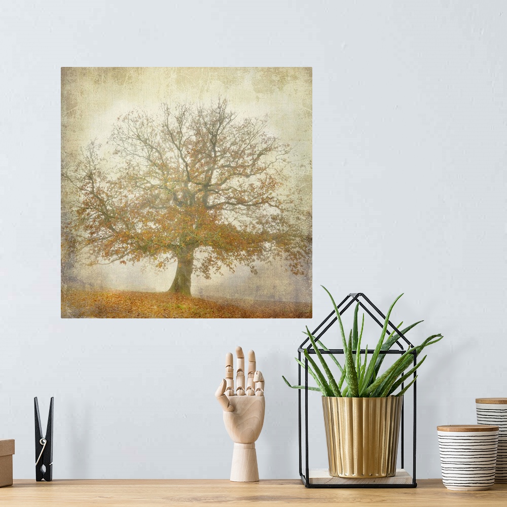 A bohemian room featuring Square orange and yellow graphic work of a textured oak tree picture at fall with lots of orange ...