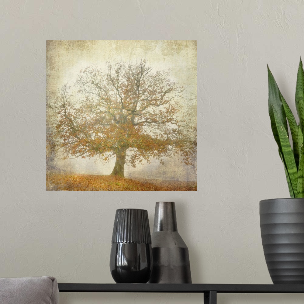 A modern room featuring Square orange and yellow graphic work of a textured oak tree picture at fall with lots of orange ...