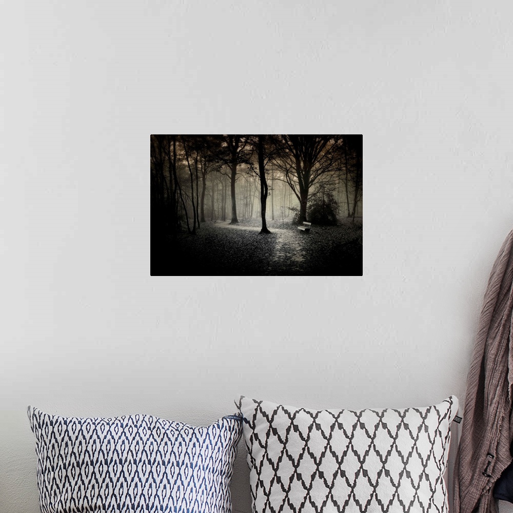 A bohemian room featuring Alone bench and path in the dark forest of Broceliande in France, black and white work.
