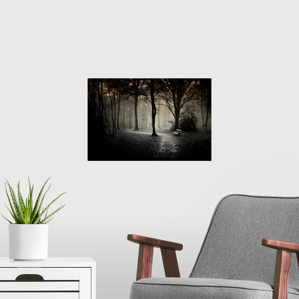 A modern room featuring Alone bench and path in the dark forest of Broceliande in France, black and white work.