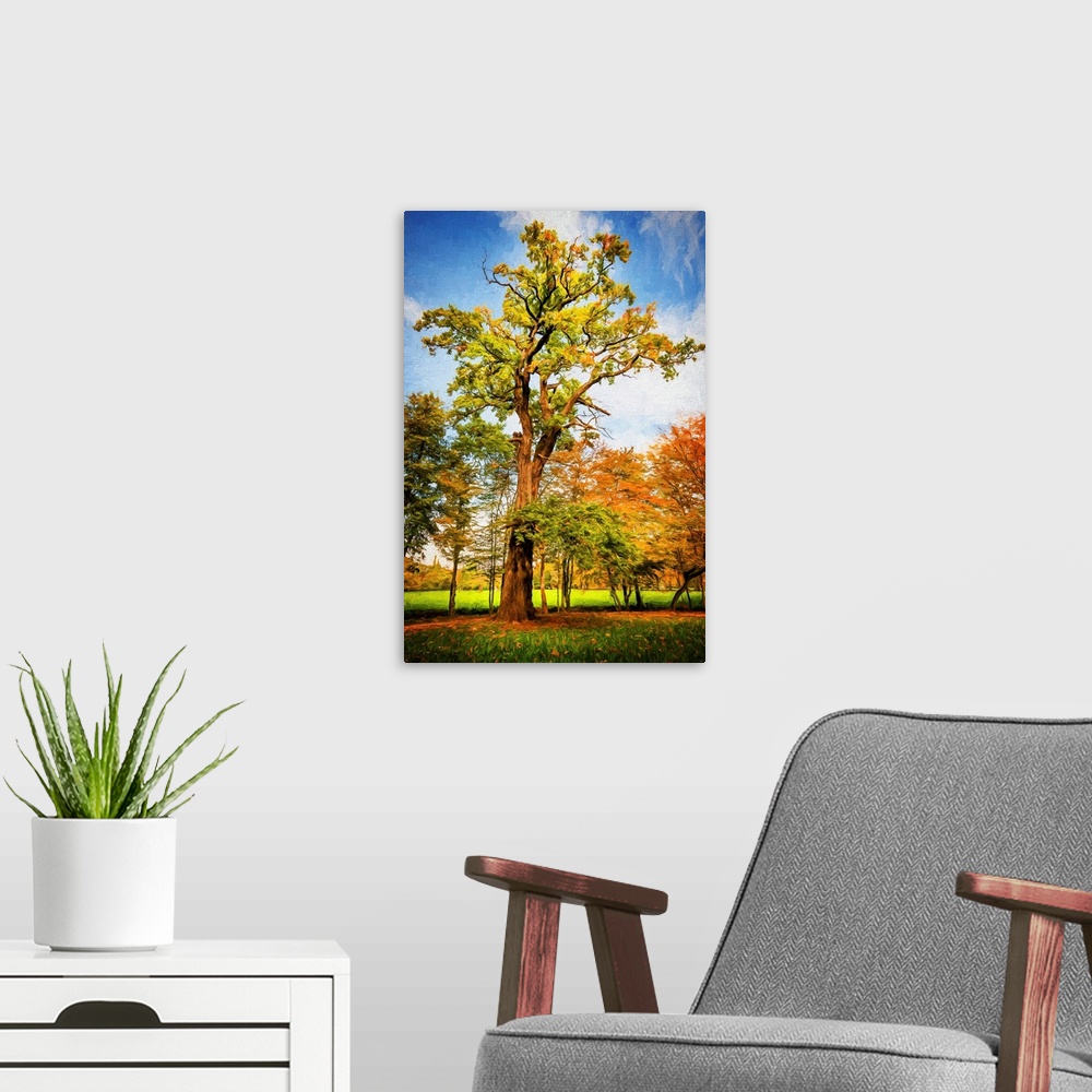 A modern room featuring A tall tree under a blue sky surrounded by trees with orange leaves.