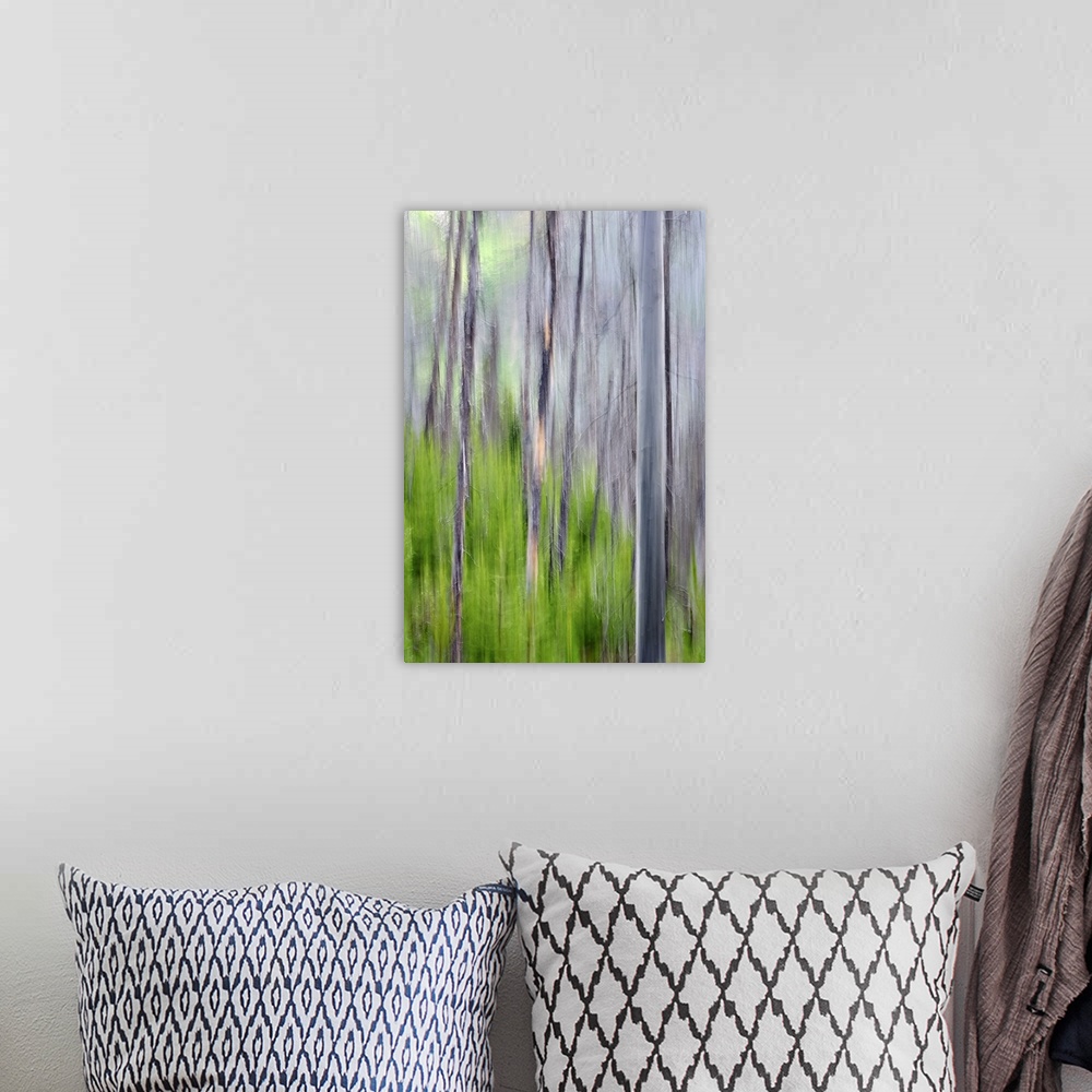 A bohemian room featuring Blurred image of a forest of slender trees, creating an abstract vertical pattern.