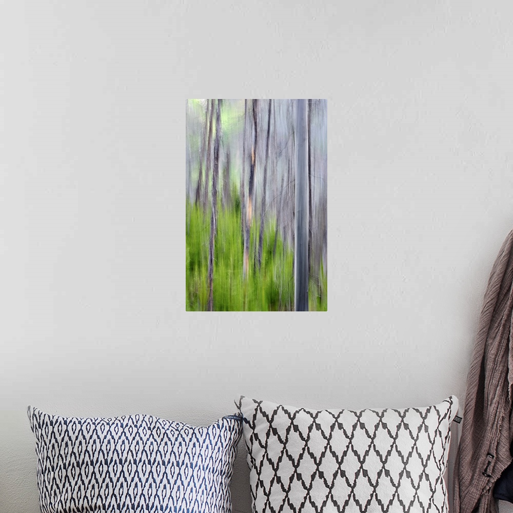 A bohemian room featuring Blurred image of a forest of slender trees, creating an abstract vertical pattern.