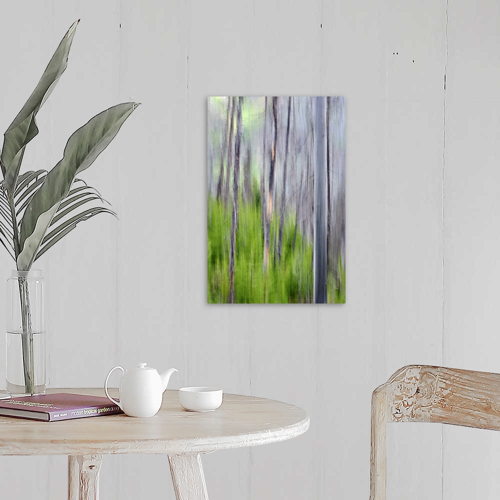 A farmhouse room featuring Blurred image of a forest of slender trees, creating an abstract vertical pattern.
