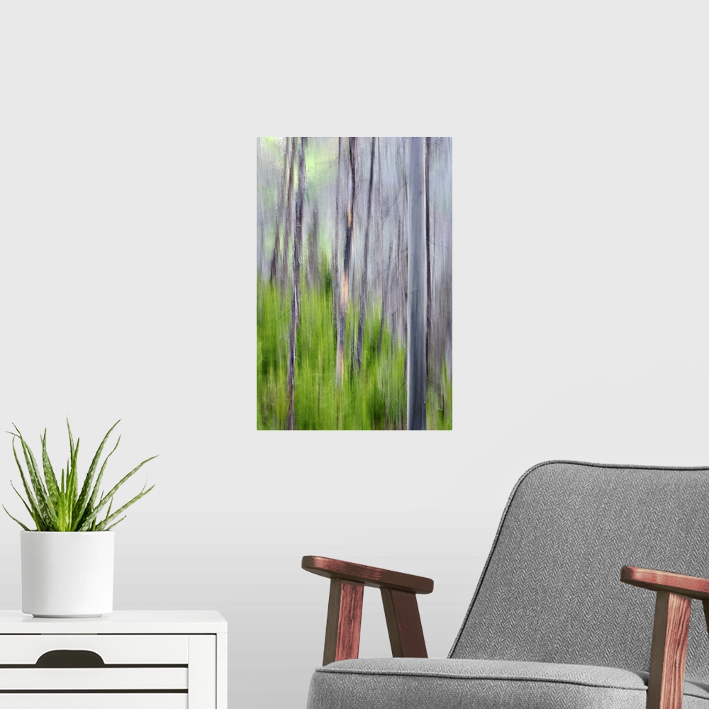 A modern room featuring Blurred image of a forest of slender trees, creating an abstract vertical pattern.