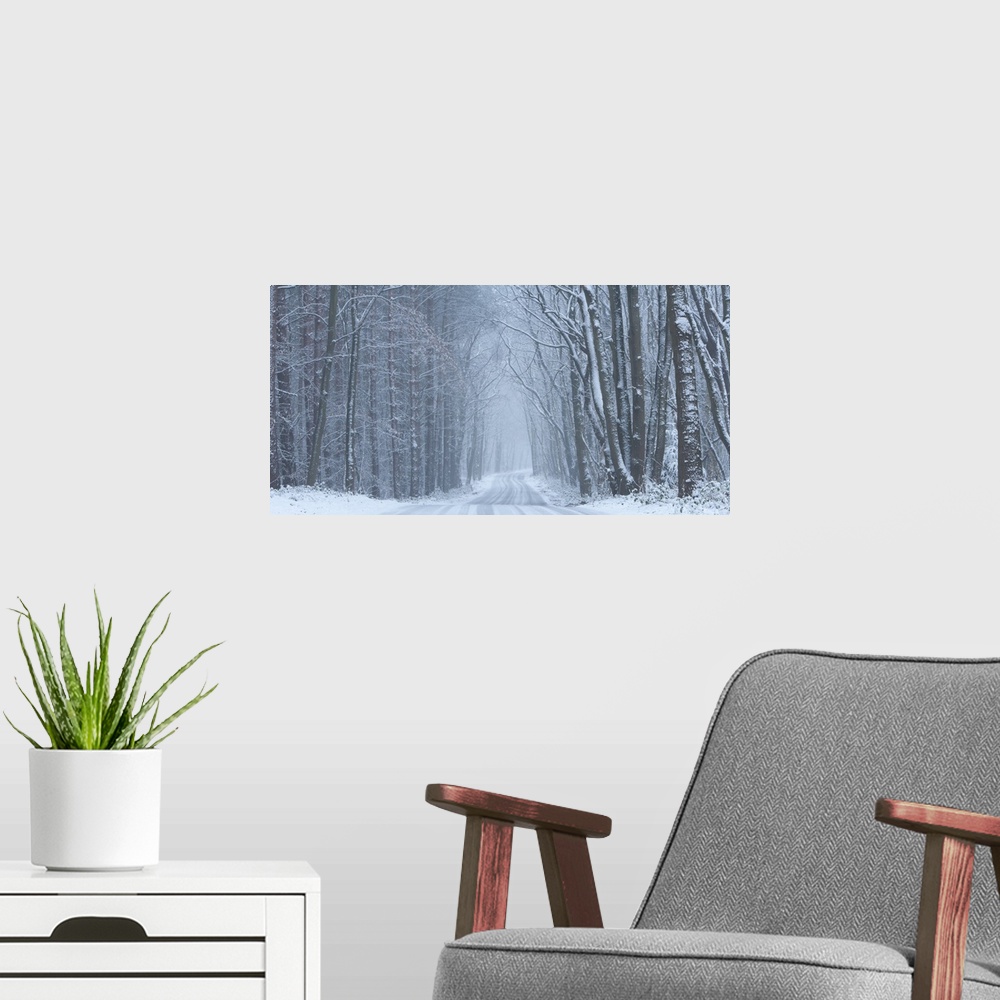 A modern room featuring A panoramic winter image of a road receeding into the distance through a woodland covered in snow...