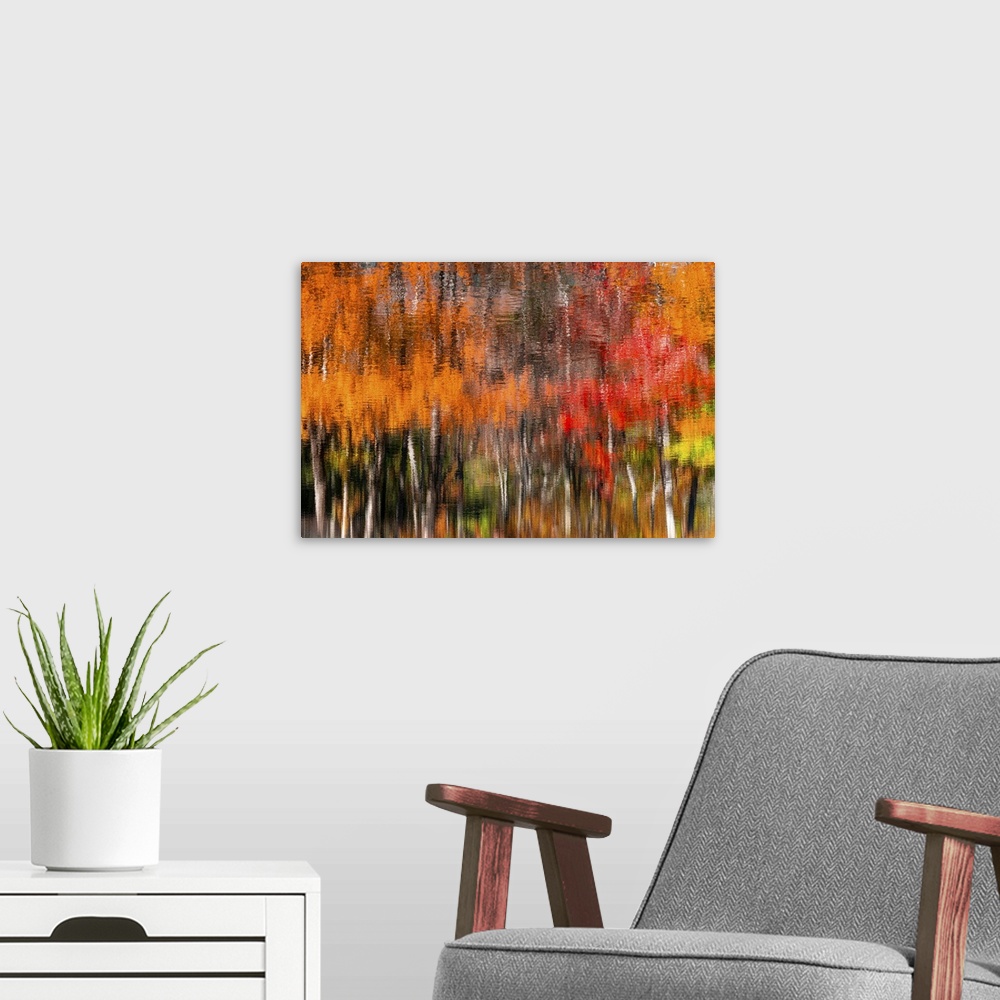 A modern room featuring New England is a beautiful place during the fall foliage. It is a color palette from green to dee...