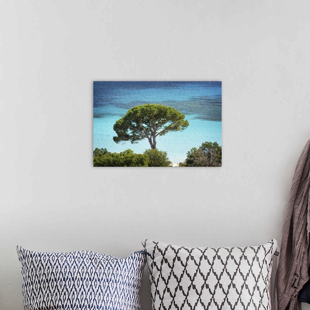 A bohemian room featuring A photograph of a lone tree hanging over crystal blue water.