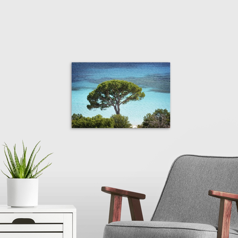 A modern room featuring A photograph of a lone tree hanging over crystal blue water.