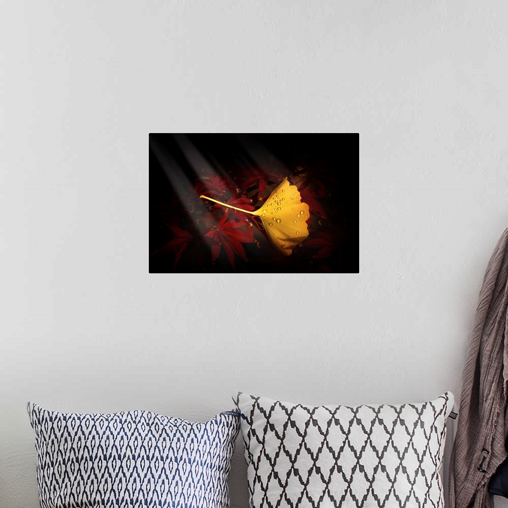 A bohemian room featuring Fine art photograph of a single yellow ginkgo leaf on a bed of red maple leaves.