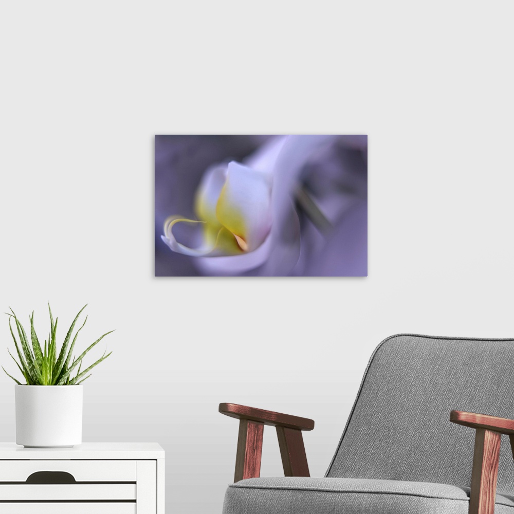 A modern room featuring Close up blurred image of the petals of an orchid.