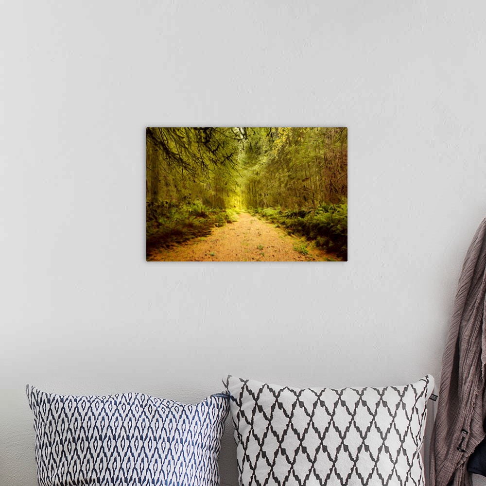 A bohemian room featuring Creative image of a path in a forest.