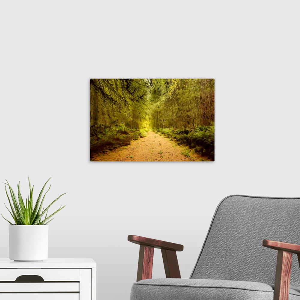A modern room featuring Creative image of a path in a forest.