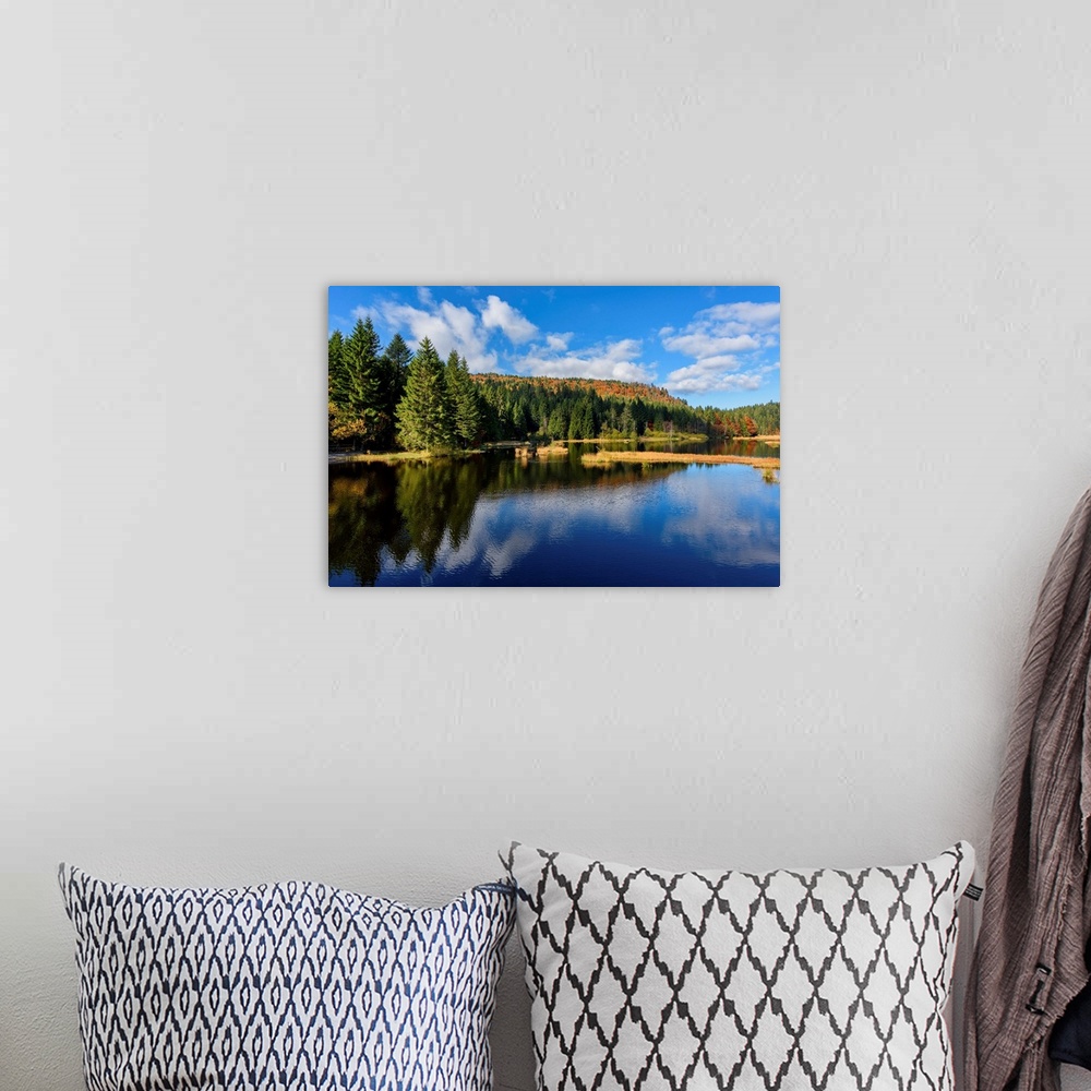 A bohemian room featuring Tall pine trees along the edge of a lake reflecting the deep blue sky above.