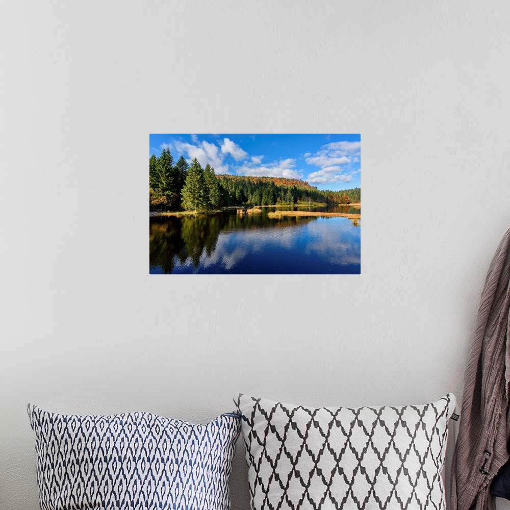 A bohemian room featuring Tall pine trees along the edge of a lake reflecting the deep blue sky above.