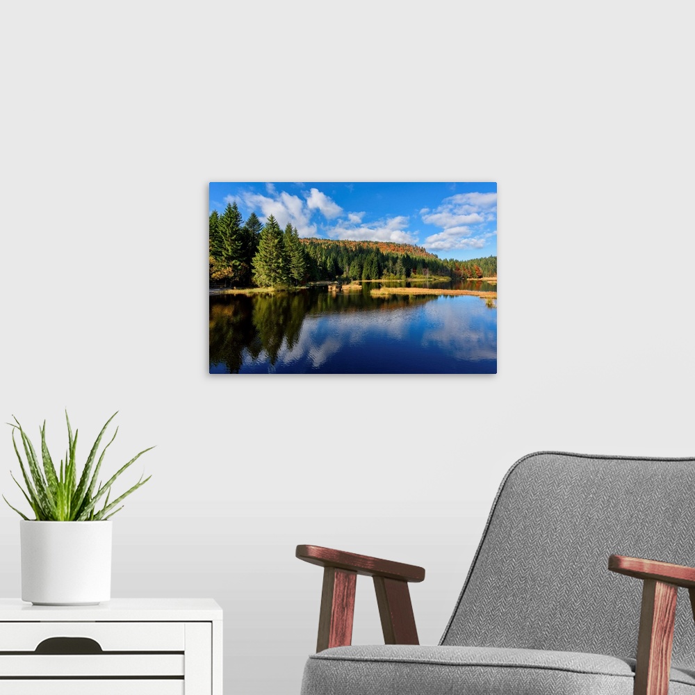 A modern room featuring Tall pine trees along the edge of a lake reflecting the deep blue sky above.