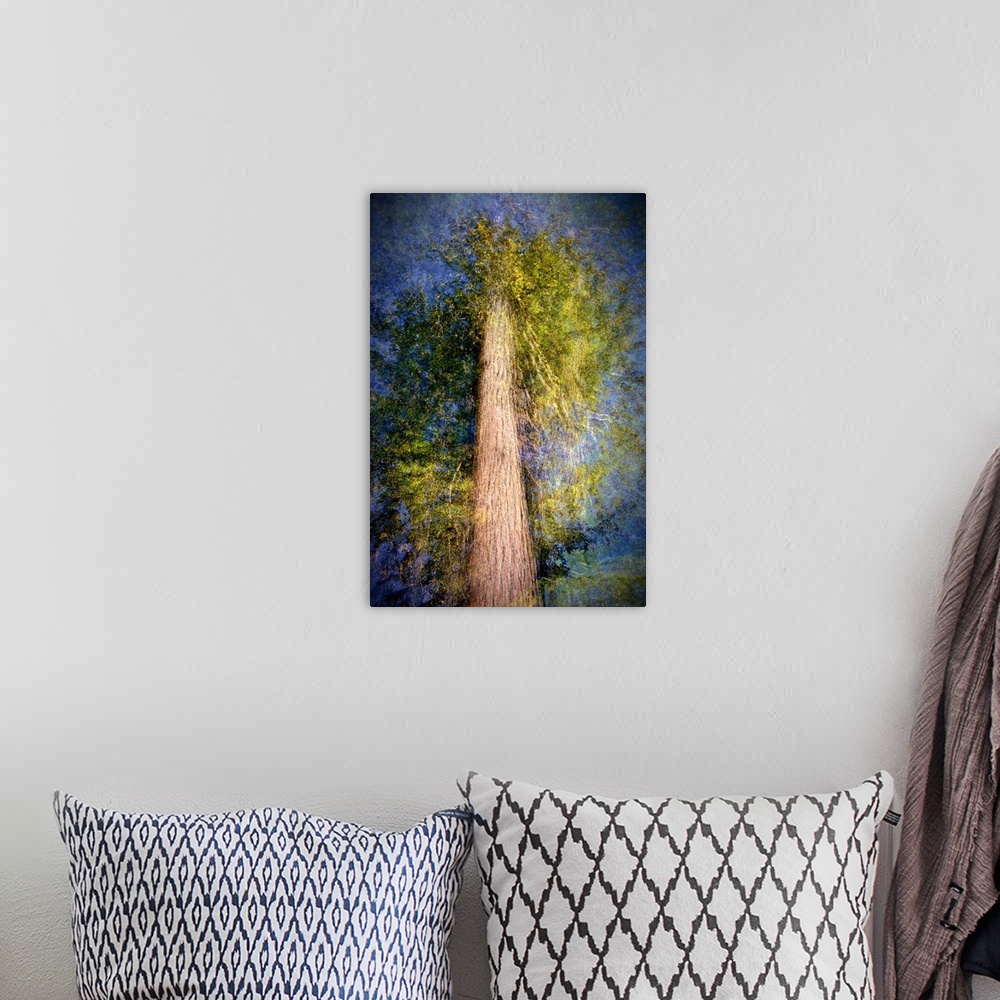 A bohemian room featuring Artistic photograph looking up at a tall tree taken in multiple exposures.