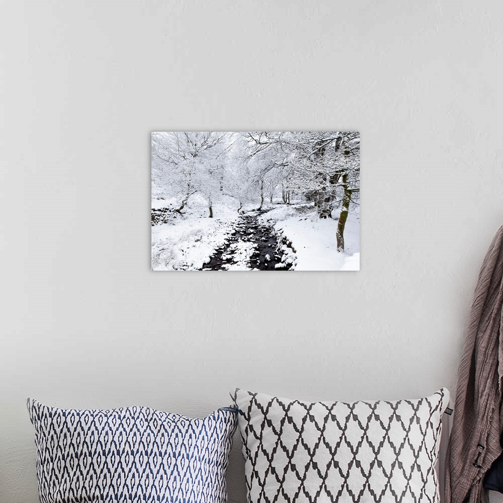 A bohemian room featuring A stream in winter in heavy snow with trees covered in snow.