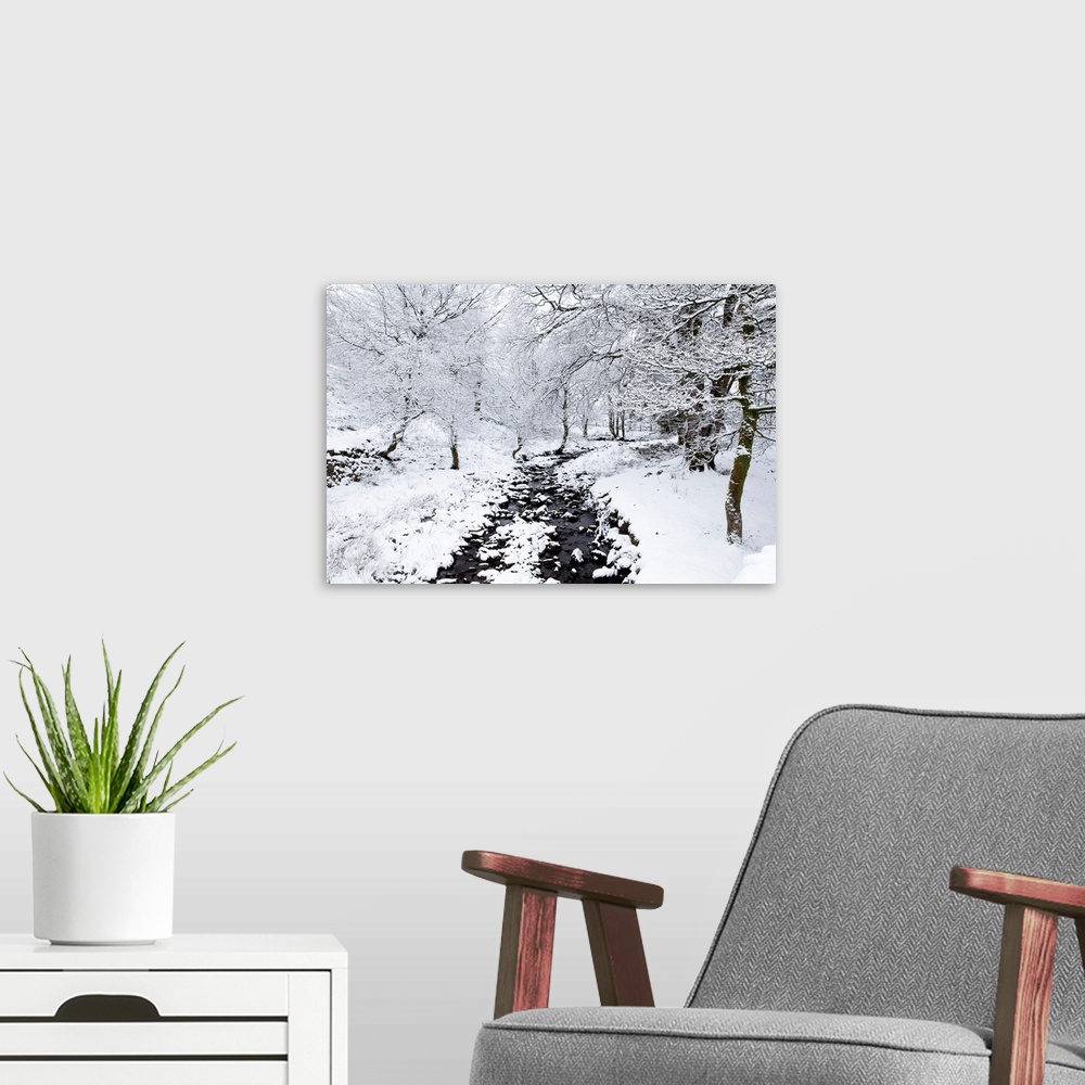 A modern room featuring A stream in winter in heavy snow with trees covered in snow.