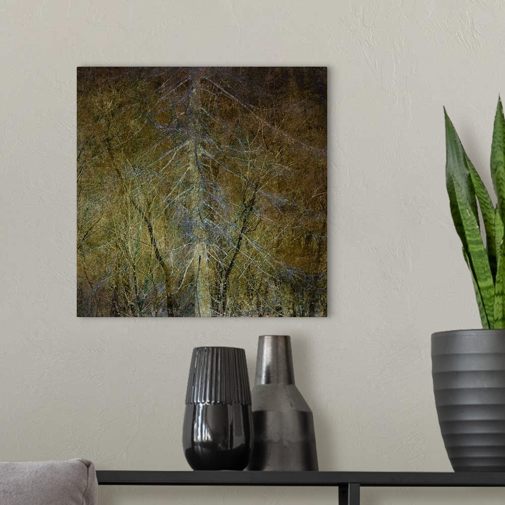 A modern room featuring Square photograph of trees with a lot of thin branches manipulated with a golden overlay and blue...