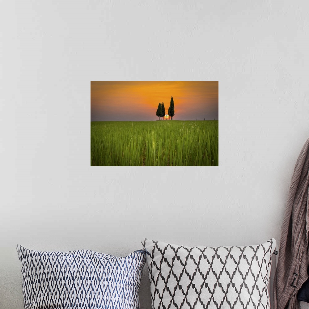 A bohemian room featuring Near San Quirico d'Orcia in Tuscany there is a field cultivated with wheat with three cypresses a...