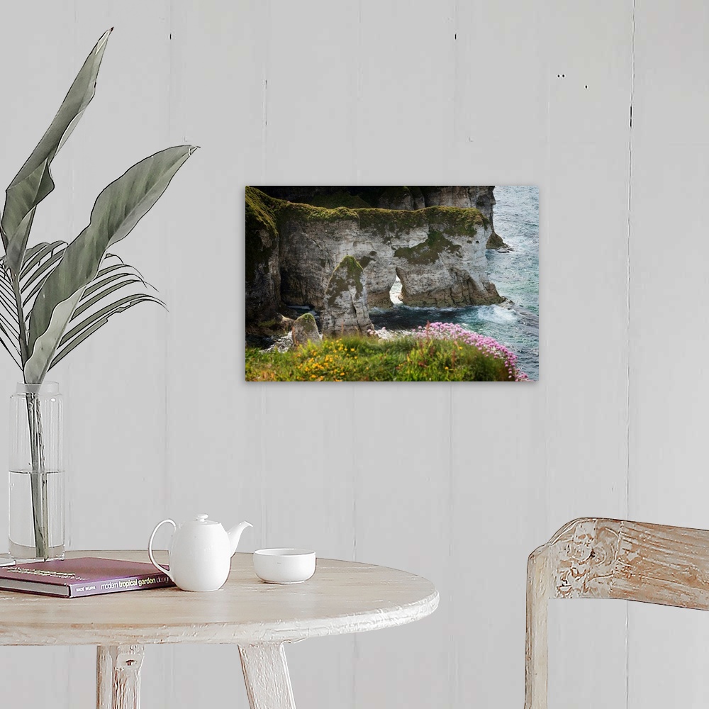 A farmhouse room featuring Coastal cliffs with wildflowers and grassy tops.