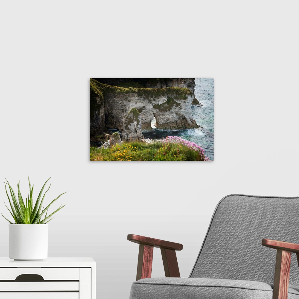A modern room featuring Coastal cliffs with wildflowers and grassy tops.