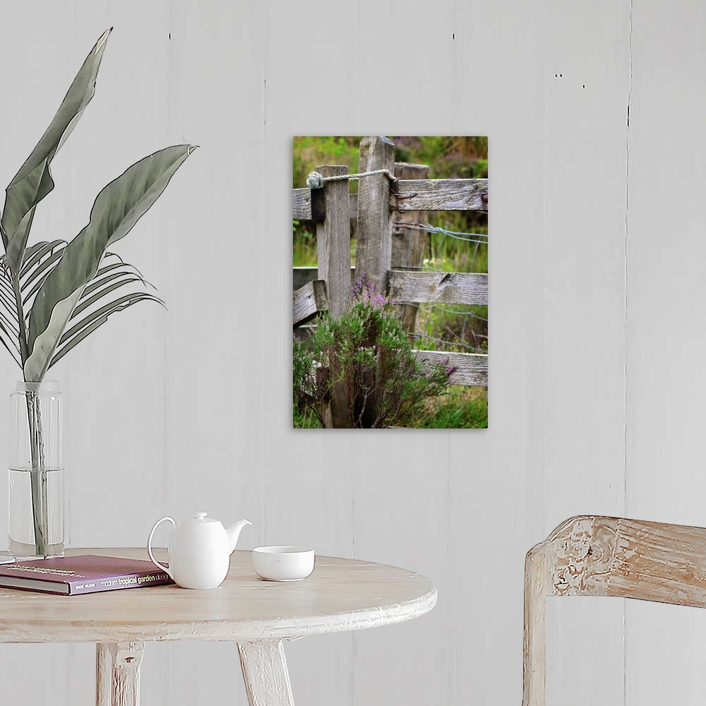 A farmhouse room featuring Fine art photo of a wooden fence post wit thistle plants growing at the base.