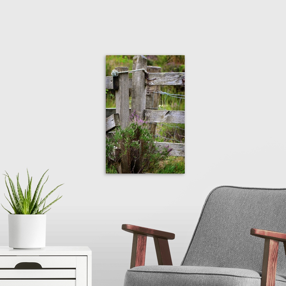 A modern room featuring Fine art photo of a wooden fence post wit thistle plants growing at the base.