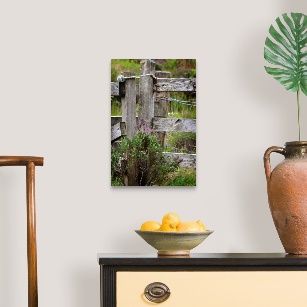 A traditional room featuring Fine art photo of a wooden fence post wit thistle plants growing at the base.
