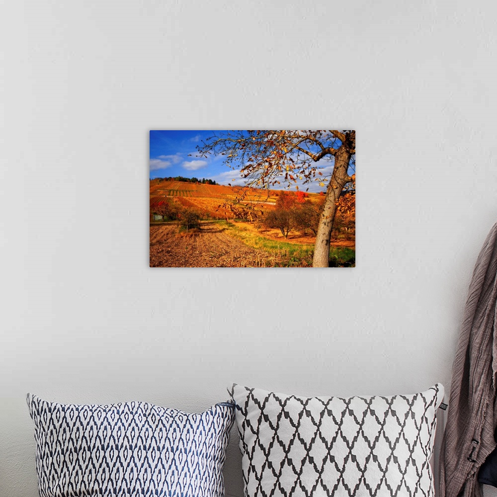 A bohemian room featuring Large artwork showing a tree during the autumn that has lost many of its leaves with farmland tha...