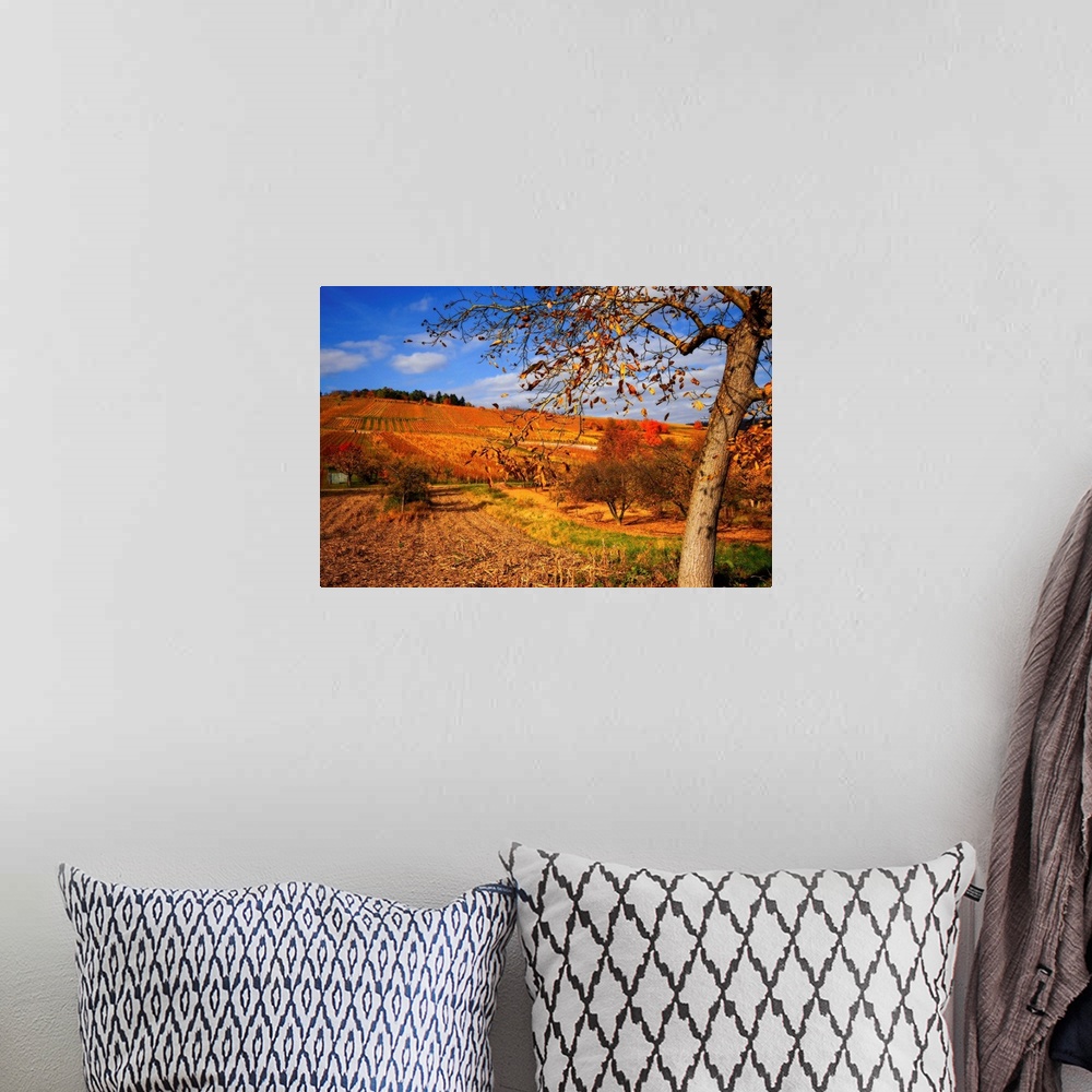 A bohemian room featuring Large artwork showing a tree during the autumn that has lost many of its leaves with farmland tha...
