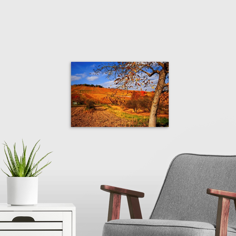 A modern room featuring Large artwork showing a tree during the autumn that has lost many of its leaves with farmland tha...