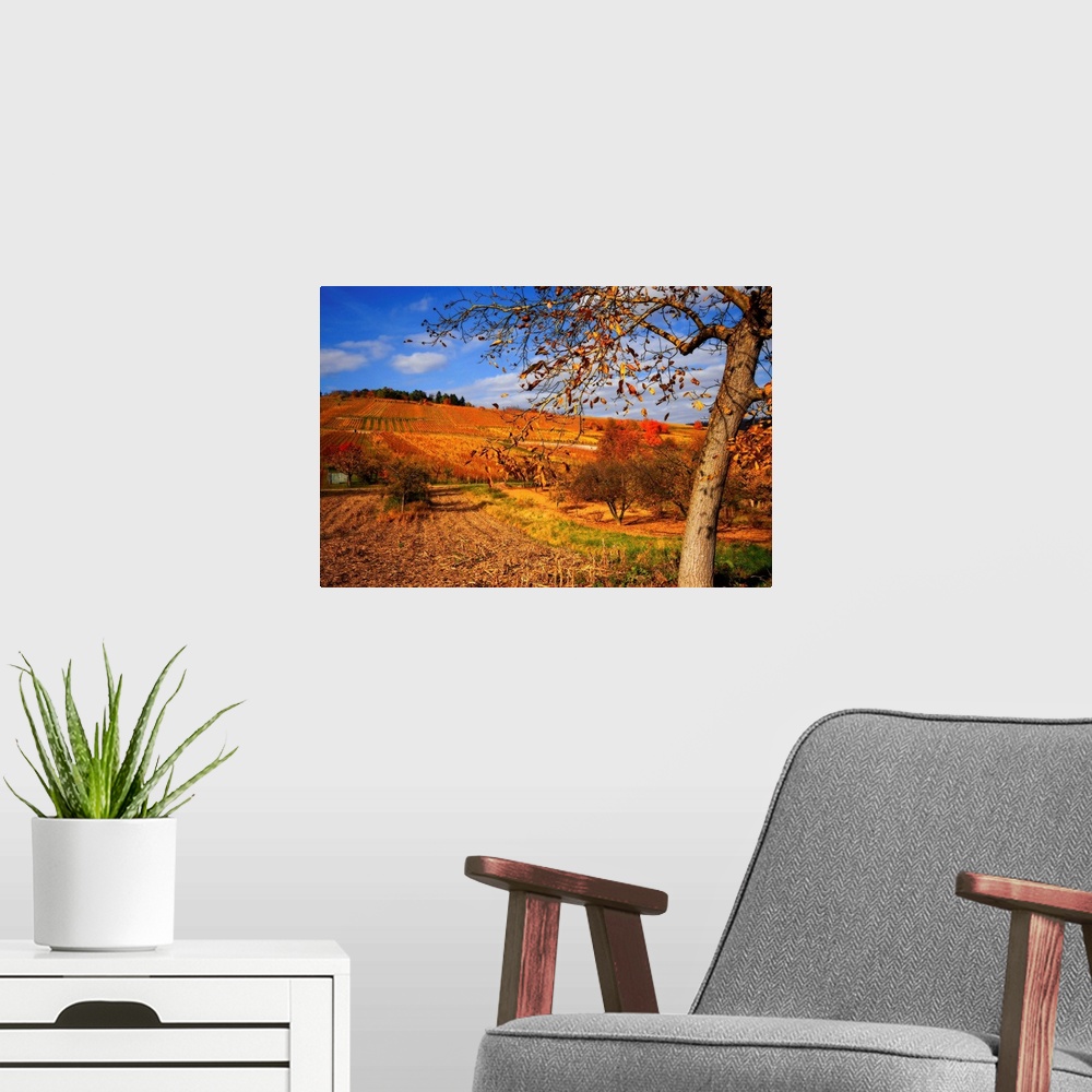 A modern room featuring Large artwork showing a tree during the autumn that has lost many of its leaves with farmland tha...