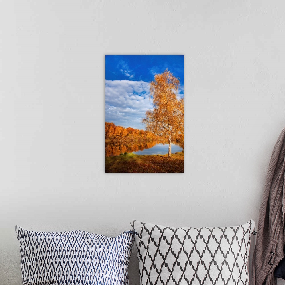 A bohemian room featuring Autumn landscape with trees around a lake under a blue sky