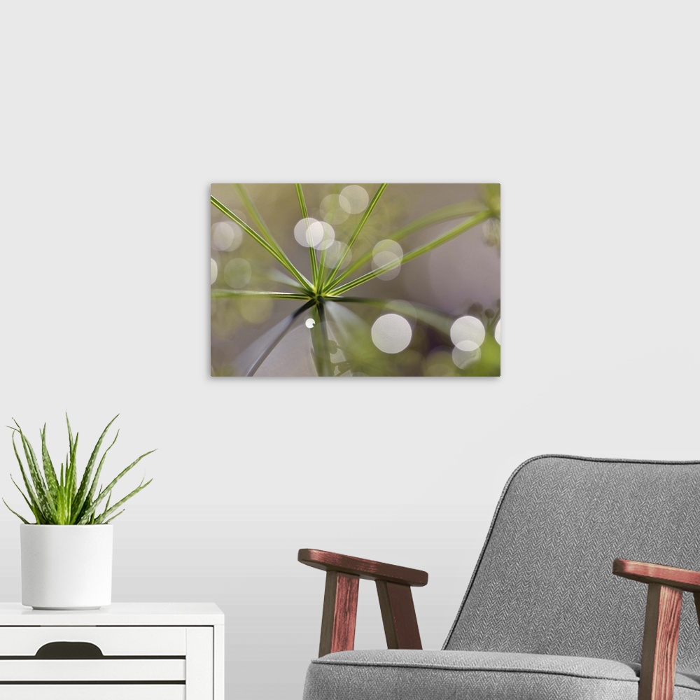 A modern room featuring A macro photograph of a green seed head with a light bokeh in foreground.