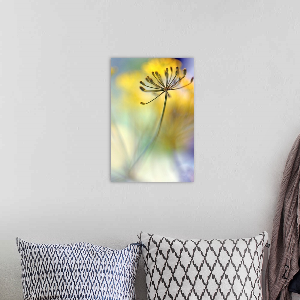 A bohemian room featuring Up-close photograph of a floral node with a shallow depth of field.