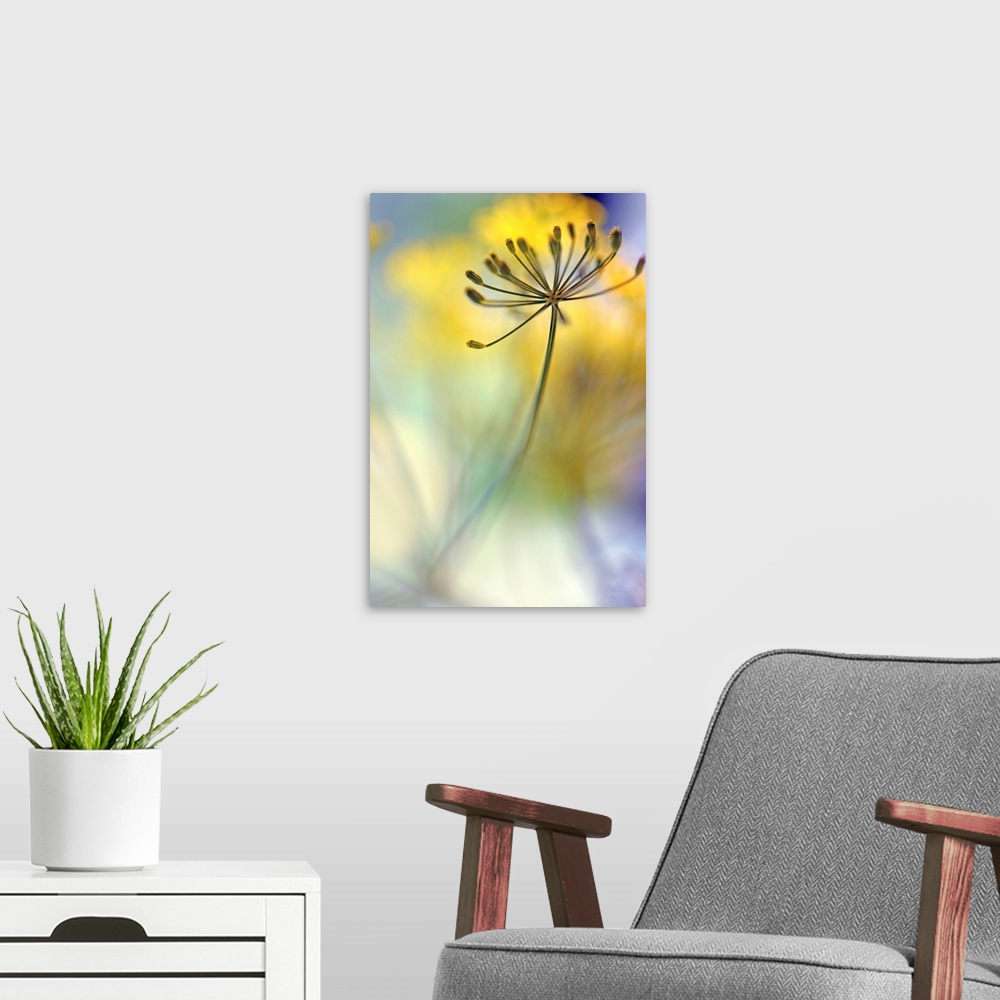 A modern room featuring Up-close photograph of a floral node with a shallow depth of field.