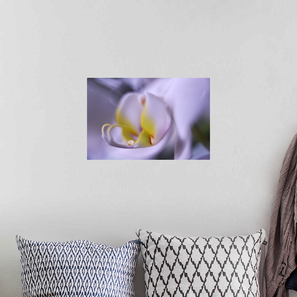 A bohemian room featuring Macro photograph of a white orchid.
