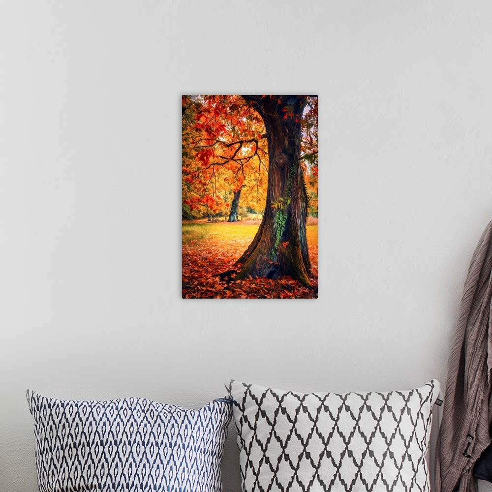 A bohemian room featuring Photo Expressionism - Trees in autumn with a tree trunk in the foreground.