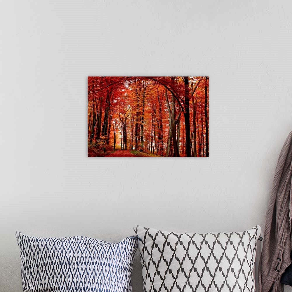 A bohemian room featuring Big canvas art of leaf covered path through a fiery colored forest at autumn.