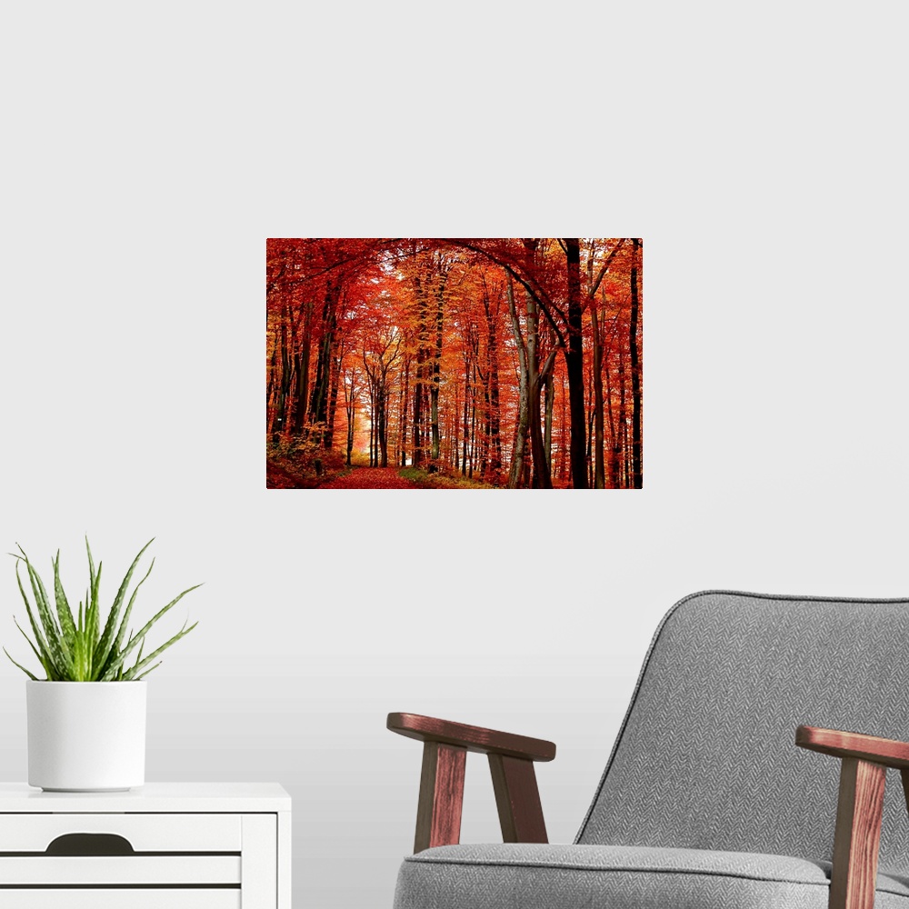 A modern room featuring Big canvas art of leaf covered path through a fiery colored forest at autumn.