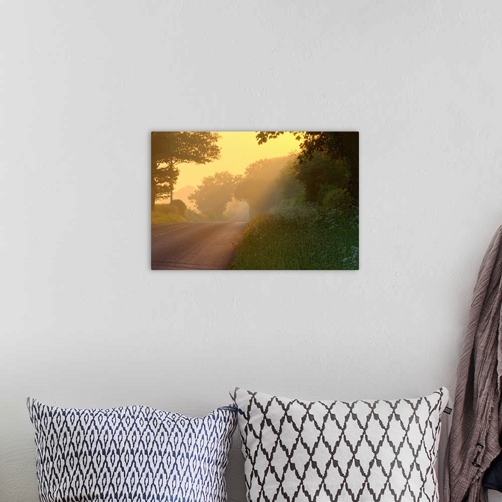 A bohemian room featuring Canvas photo art of an empty country road running through a forest.